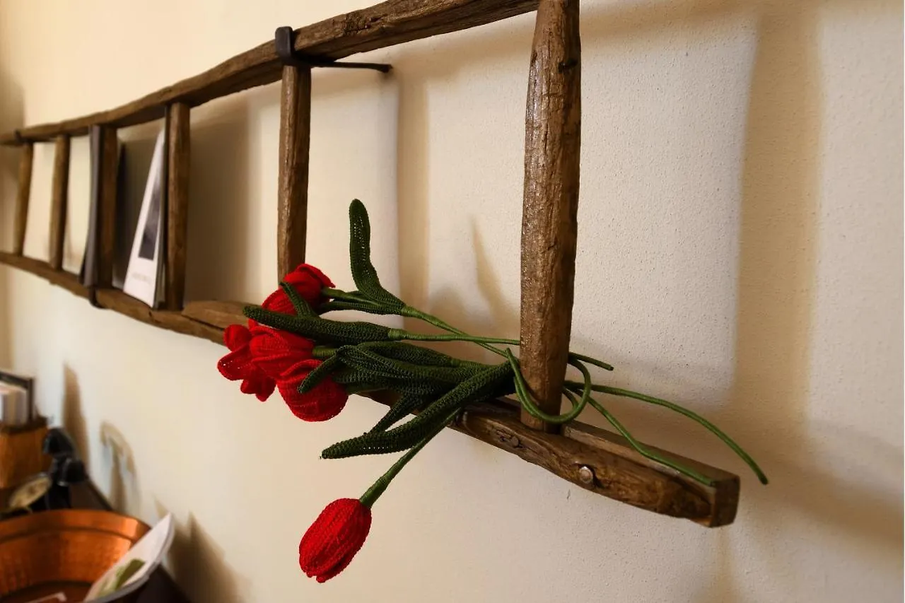 La Tulipa Apartment San Quirico d'Orcia