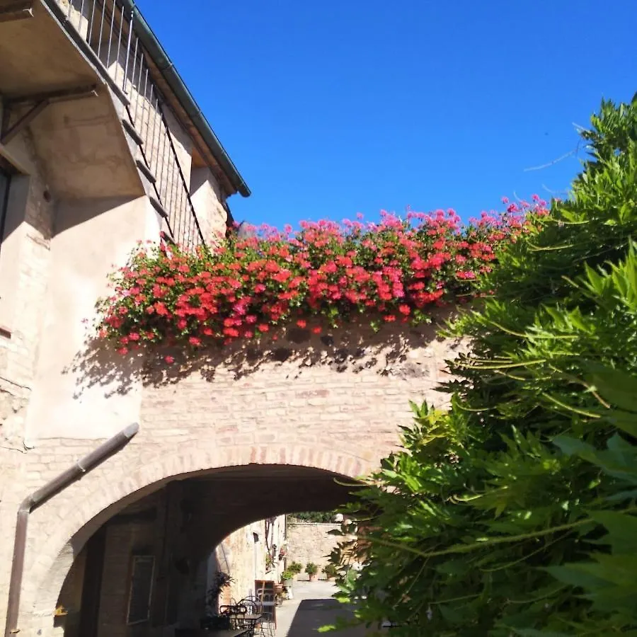 La Tulipa Apartment San Quirico d'Orcia