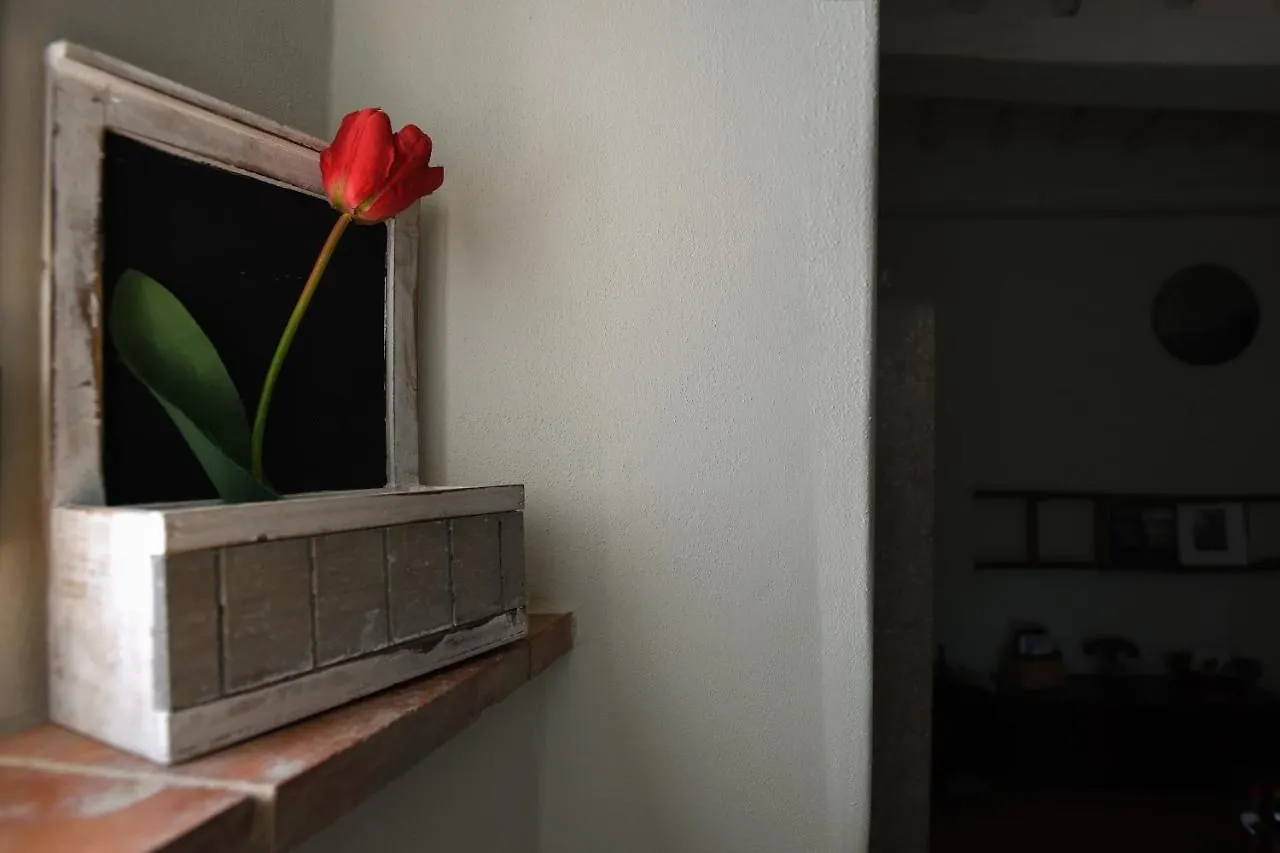 La Tulipa Apartment San Quirico d'Orcia