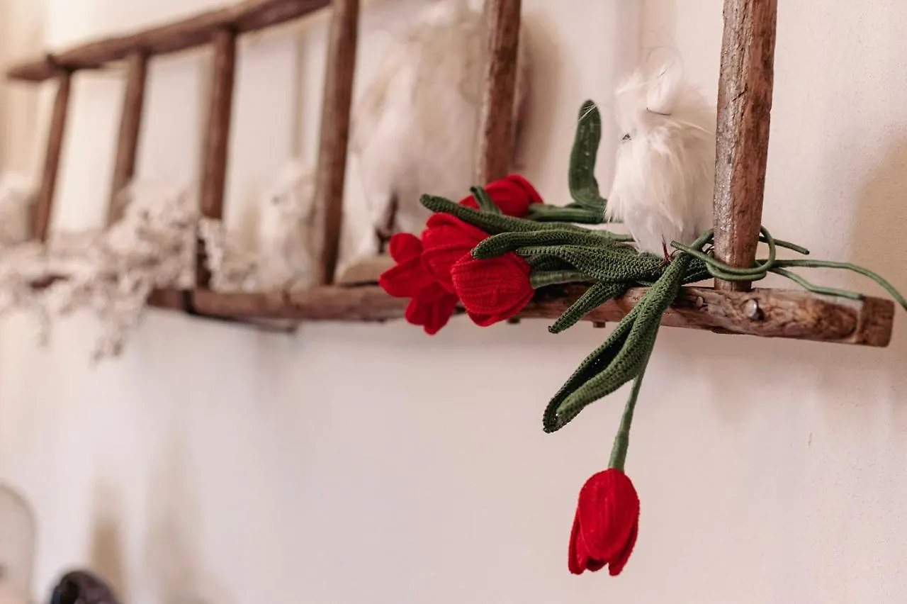 La Tulipa Apartment San Quirico d'Orcia